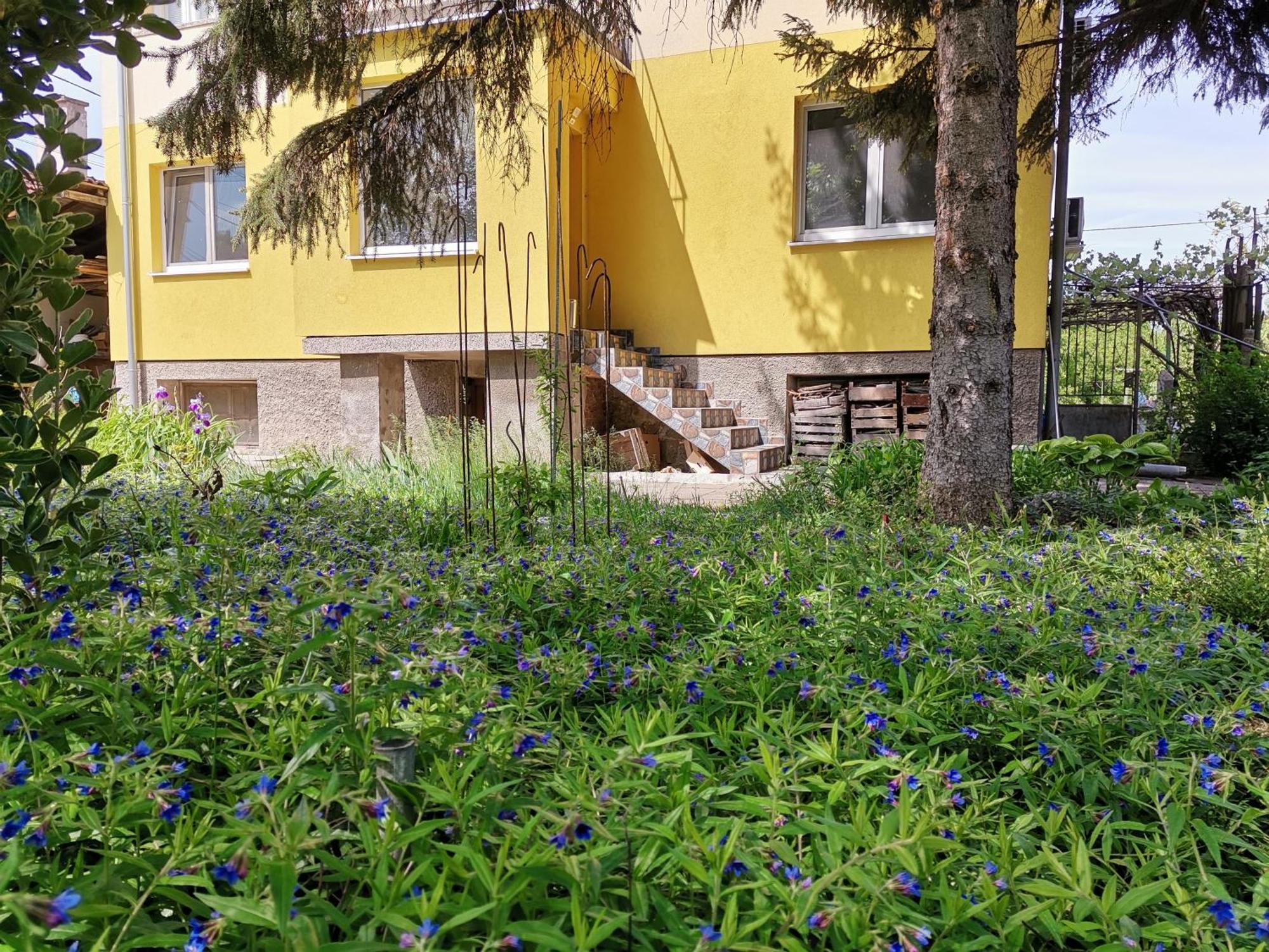 за гости 