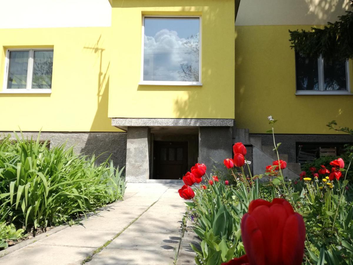 Gazde/Camere de închiriat за гости 