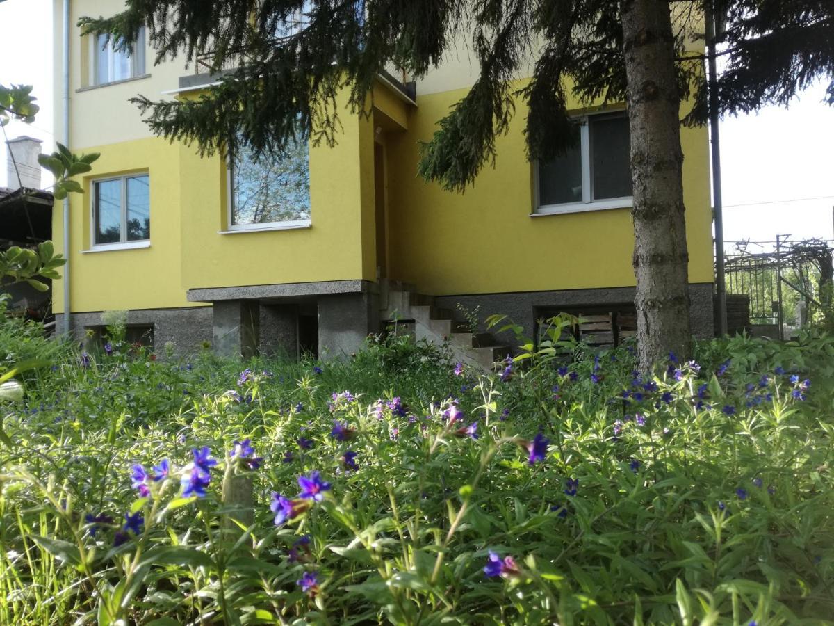 за гости 