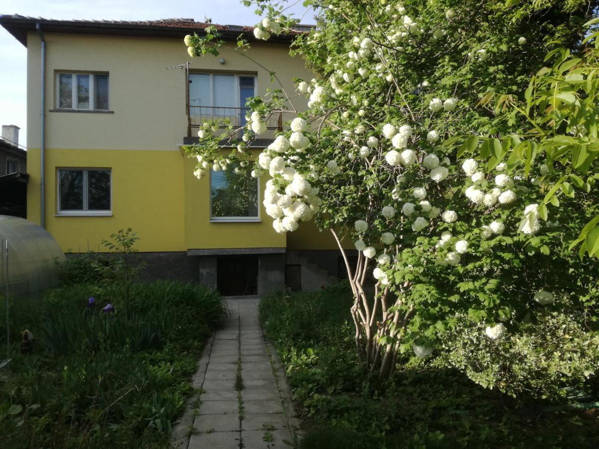 Gazde/Camere de închiriat за гости 