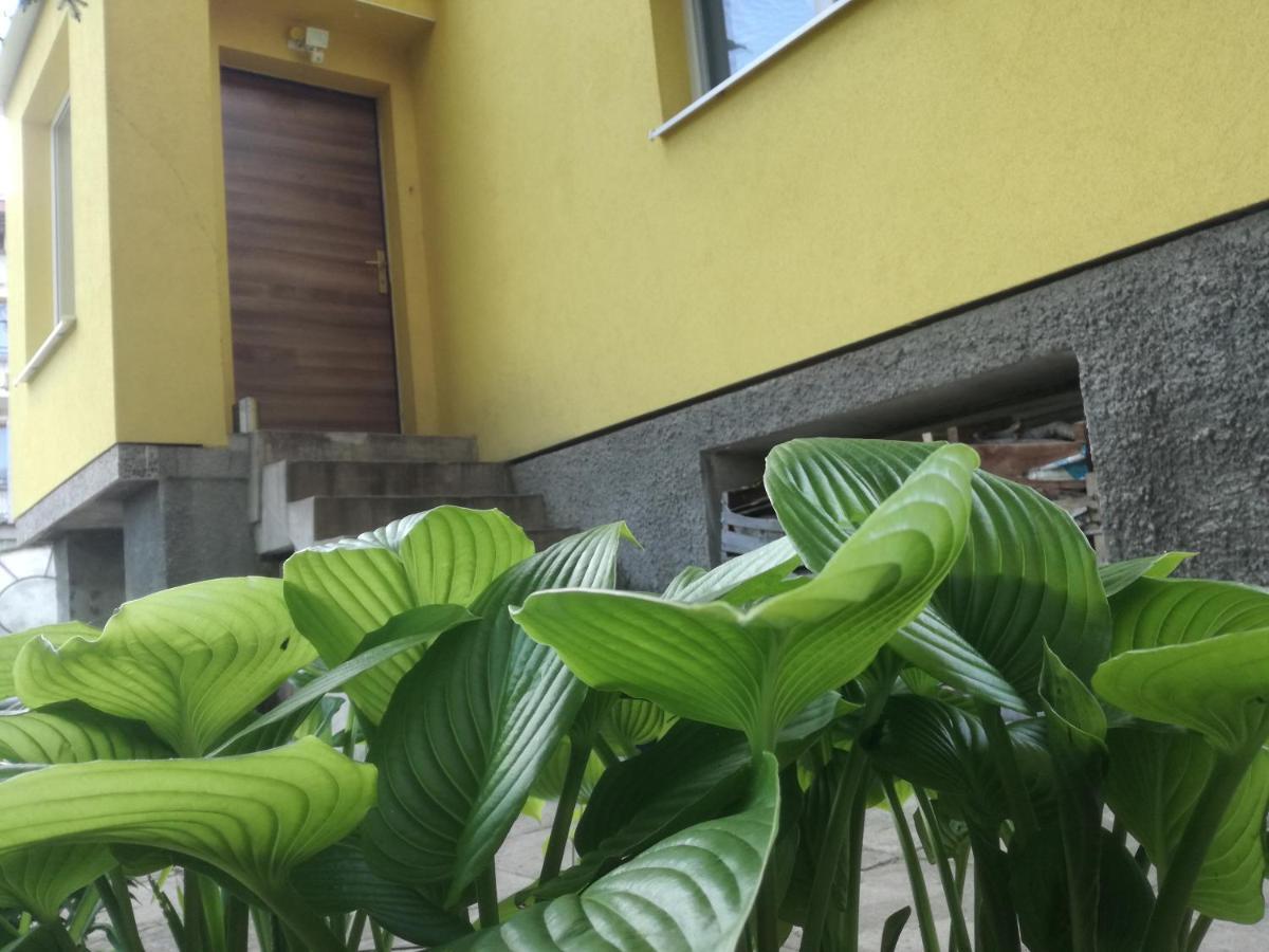 Gazde/Camere de închiriat за гости 
