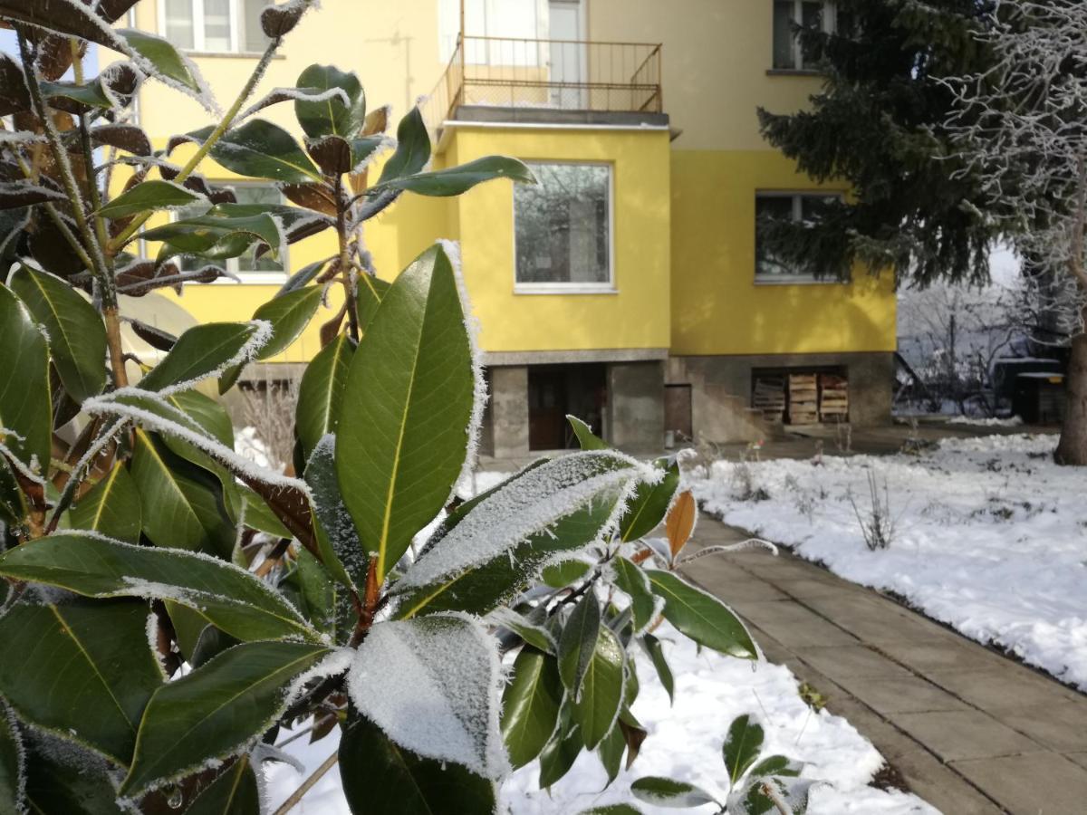 за гости 