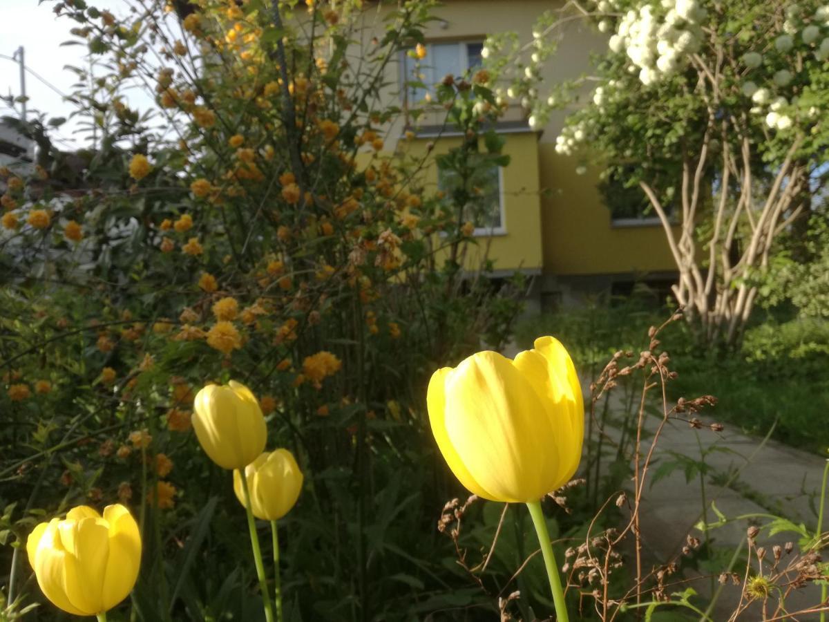 Homestay за гости 