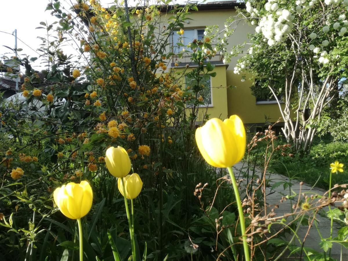 Homestay за гости 